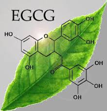 EGCG là gì và tác dụng của EGCG